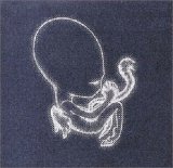 sigor ros - agaetis byrjun